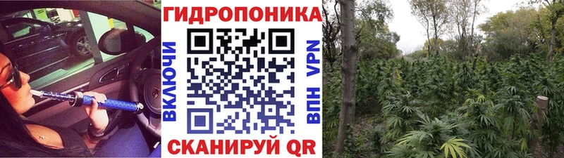 МАРИХУАНА Bruce Banner  Щигры 